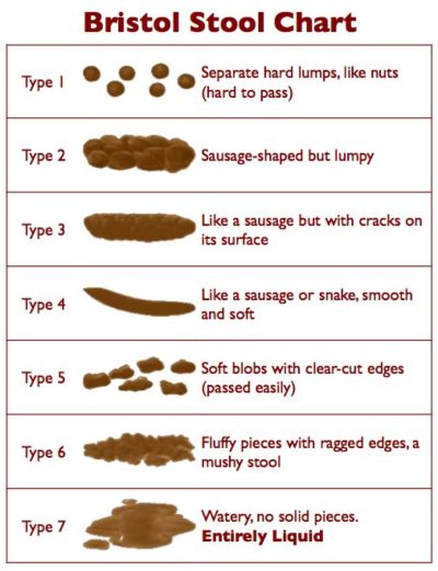 What your stool says about your health | WC Portables