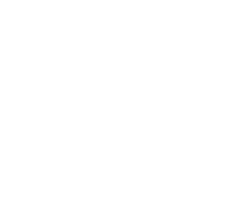 pse-logo-1